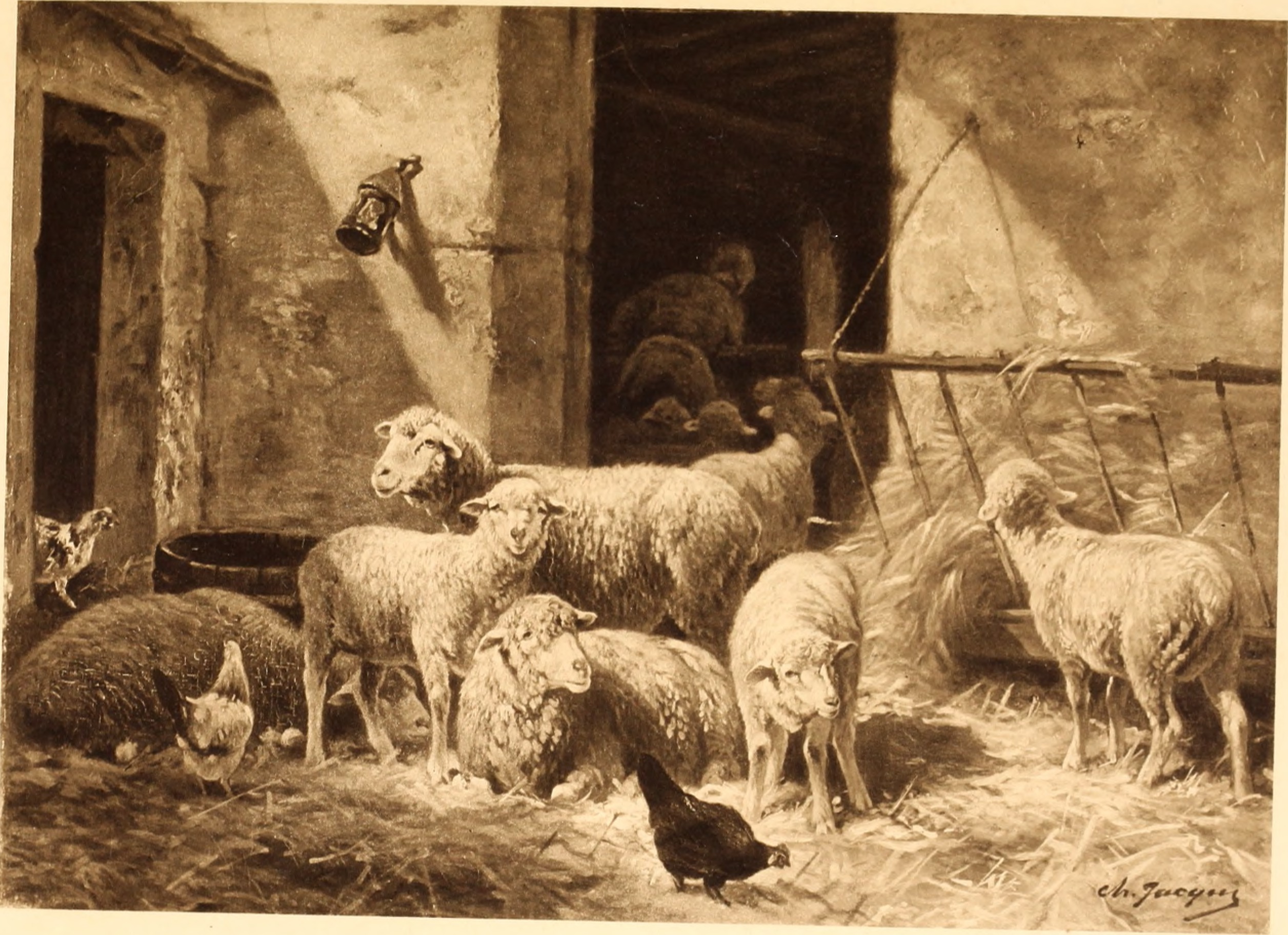 Wanddecoratie in Deventer: van stucwerk naar strakke muurprint